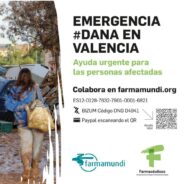 Ayuda y solidaridad con los damnificados por la DANA